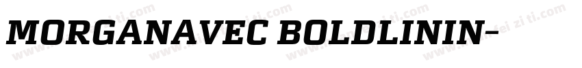 MorganAvec BoldLinin字体转换